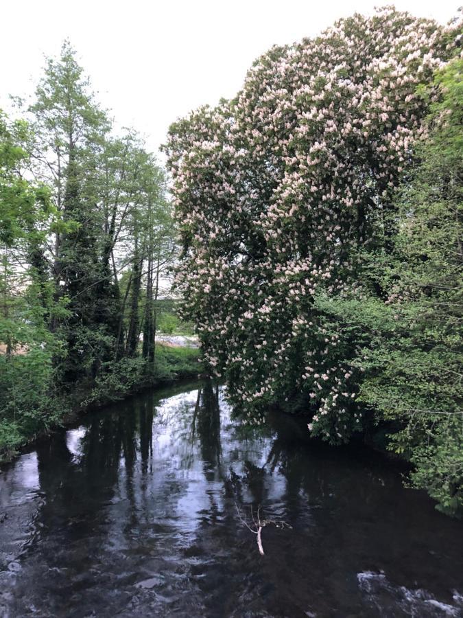 Chambre-Studio Le 42 Nogent-le-Rotrou Eksteriør bilde